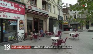 Nord : invasion de moustiques à Saint-Amand-les-Eaux