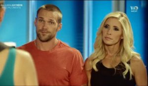 Limpressionnante Vue Du Ciel Dun Chien De Berger Qui