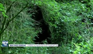 Biodiversité: un espèce sur trois est menacée de disparition en France