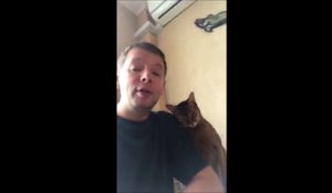 La vidéo ultra-mignonne du jour d'un chat qui veut du poulet