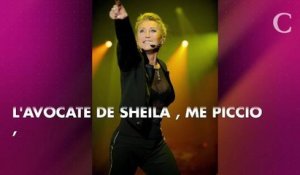 Sheila contre Sylvie Ortega Munos : la chanteuse a été déboutée face à la dernière compagne de son fils