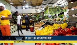 L'Angola veut une part de l'industrie de la production de bananes [Business Africa]
