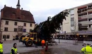 Guebwiller - Le sapin de Noël est installé