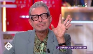 Au dîner avec Jeff Goldblum ! - C à Vous - 19/11/2018