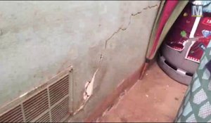 [#BalanceTonTaudis] Murs fissurés, fuites d'eau et champignons au plafond cité La Gardanne