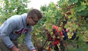 La Ferme Grand Est des Établissements d'Enseignement Agricole Public