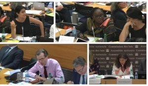 Mayotte : les députés adoptent en commission une limitation du droit du sol