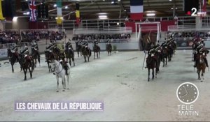 Faune - Les chevaux de la République