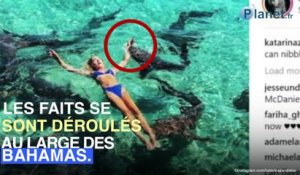 Une top-modèle attaquée par un requin en pleine séance photo