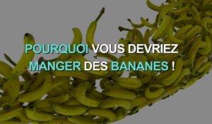 Bananes : 3 vertus santé