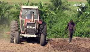 Riches et ambitieux: les nouveaux 'gentleman farmers' du Nigeria