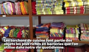 Vos torchons de cuisine sont des nids à bactéries