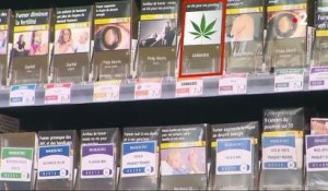 Cannabis : les buralistes se disent prêts à en vendre
