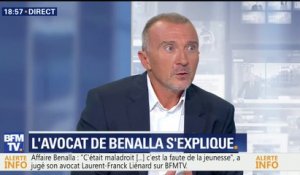 Intervention musclée de Benalla: "Je pense qu'il n'y a pas infraction", défend son avocat