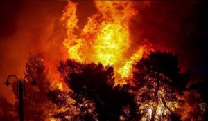 Incendies en Grèce : l'appel émouvant de Nikos Aliagas