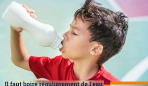 Les conseils pour faire face à la canicule