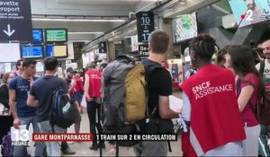 Gare Montparnasse : 1 train sur 2 en circulation, des passagers excédés
