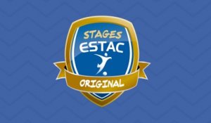 STAGE ESTAC ORIGINAL 3 - RÉSUMÉ ANIMATIONS