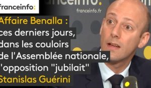 Affaire Benalla : ces derniers jours, dans les couloirs de l'Assemblée nationale, l'opposition "jubilait", selon le député LREM Stanislas Guérini