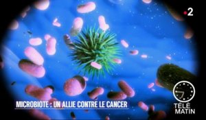 Santé - Notre intestin potentialise les traitements anti-cancer