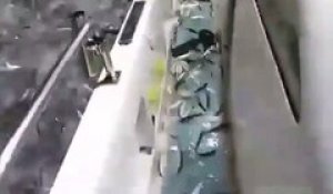Des milliers de sardines débarquent sur le bateau d'un pêcheur !