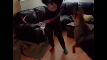Comment stopper un chien qui ronfle sur Orange Vidéos