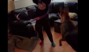 Un chien imite sa maitresse qui fait du hula hoop