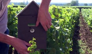 Une box connectée pour se préserver des pesticides