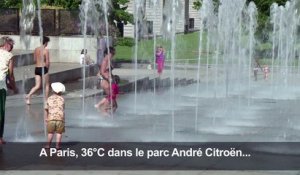 Canicule : les Parisiens trouvent refuge sous les jets d'eau