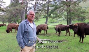 La Réserve des Monts d’Azur : le retour gagnant de la biodiversité d’antan