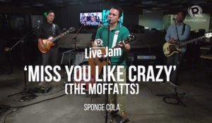 Sponge Cola – 'Miss You Like Crazy' (The Moffatts cover)