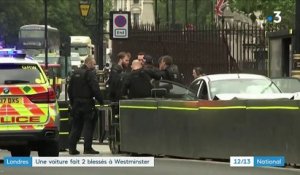 "Il a foncé tout droit" : à Londres, deux blessés après une attaque à la voiture-bélier contre le Parlement