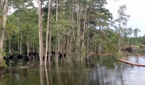 Un trou gigantesque dans l'eau avale tout autour de lui en Louisiane