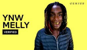 YNW Melly "Virtual" Official Lyrics & Meaning | Verified