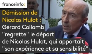Démission de Nicolas Hulot : Gérard Collomb  "regrette" le départ  de Nicolas Hulot, qui apportait  "son expérience et sa sensibilité"