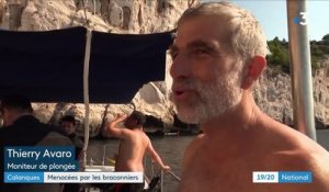Marseille : les calanques menacées par les braconniers