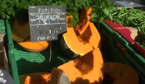 Potirons, céleri... Les légumes d'hiver arrivent (déjà) sur les étals des marchés