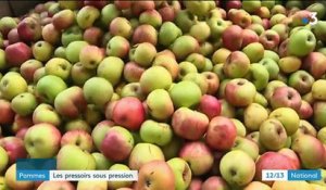 Pommes : les pressoirs sous pression