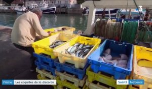 Pêche : les coquilles Saint-Jacques de la discorde