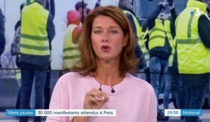"Gilets jaunes" : 30 000 manifestants attendus à Paris
