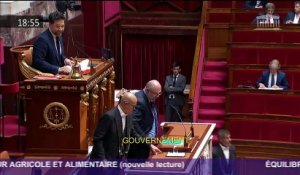 Nouvelle lecture du projet de loi agriculture et alimentation à l'Assemblée nationale : le discours de Stéphane Travert