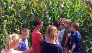 Le labyrinthe de Moxhe élucidé par une classe du village