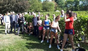 Chambéry : vendanges en musique au Château de Candie