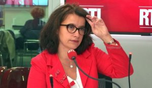 Chlordécone : "On a une responsabilité particulière à leur égard", assure Cécile Duflot