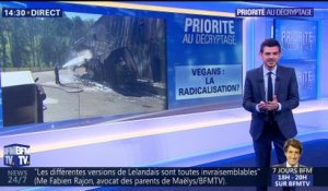 Vegans: Pourquoi la radicalisation ?