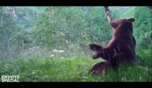 "Envoyé spécial" enquête en Ariège chez ceux qui veulent la peau de l'ours