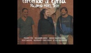 Ricardo Herz Trio - brisa