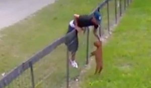Un homme vole un chiot  dans un jardin