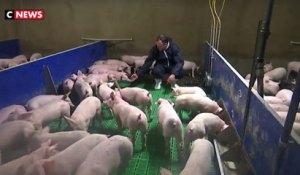 Le bien-être animal, une préoccupation pour l’association 60 millions de consommateurs