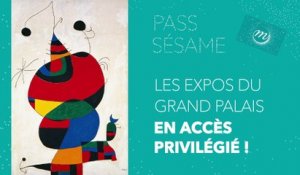 Sésame : le pass-expo du Grand Palais